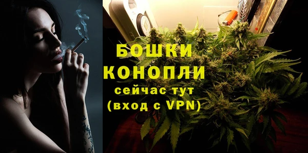 гидра Заволжье