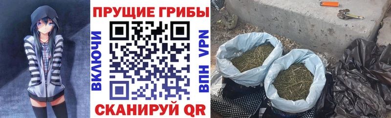 Купить закладки  Остров  Псилоцибиновые грибы ЛСД 